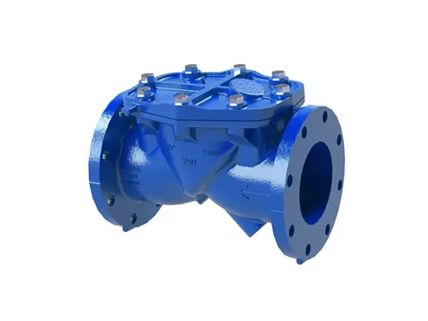 Check Valves