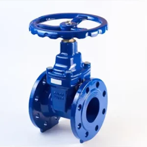 Gate Valves