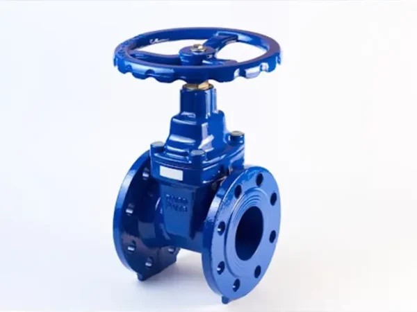 Gate Valves